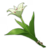 Glaze lily
