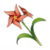 Glaze lily