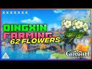 Chingxin flower