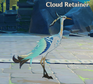 Cloud Retainer