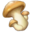 Chicken and mushroom skewer