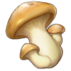 Chicken and mushroom skewer