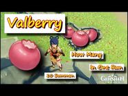 Valberry