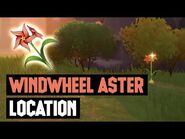 Aster Windwheel