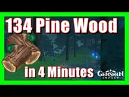 Pine Wood