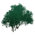 Albero di nodi d'oro