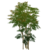 Albero di nodi d'oro