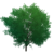 Albero di nodi d'oro