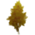 Albero di nodi d'oro