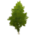 Albero di nodi d'oro