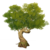 Albero di nodi d'oro