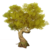 Albero di nodi d'oro