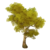 Albero di nodi d'oro