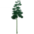 Albero di nodi d'oro