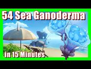 Sea Ganoderma