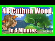 Cuihua Wood