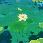 Tête de Lotus