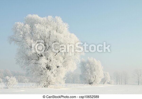 Árbol de hielo