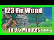 Fir Wood
